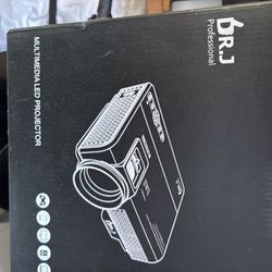 Projector And Portable Screen