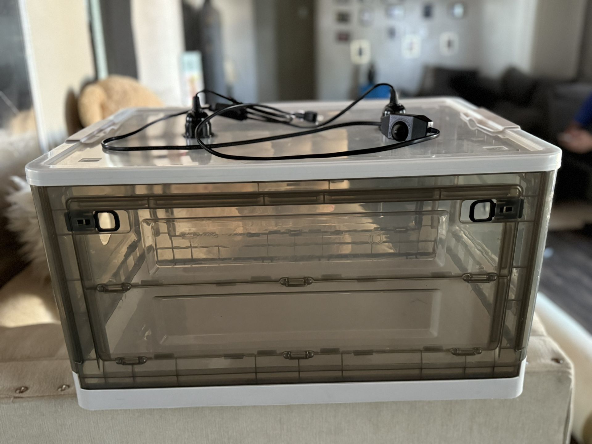 Incubator For Pets