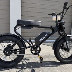 MEELOD DK200F 1000W Peak Triple Crown Fork 30 Mph 45 Miles Range Electric Bike 