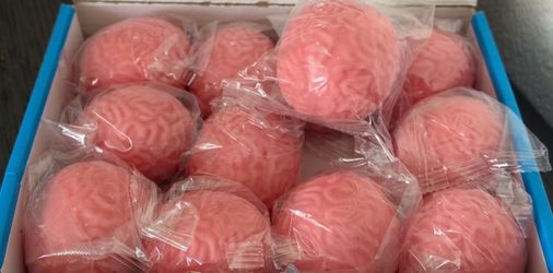 Small brain squishy