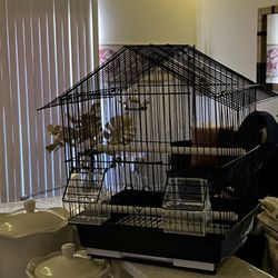 Bird Cage 