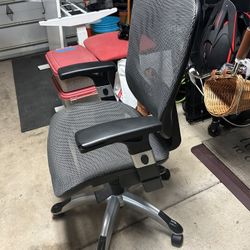 Ergo Office Chair