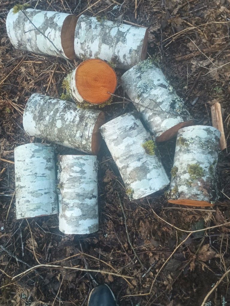Alder Fire Wood Split Or Whole Rounds Or Even Logs