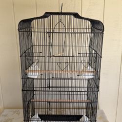 Birds Cage 