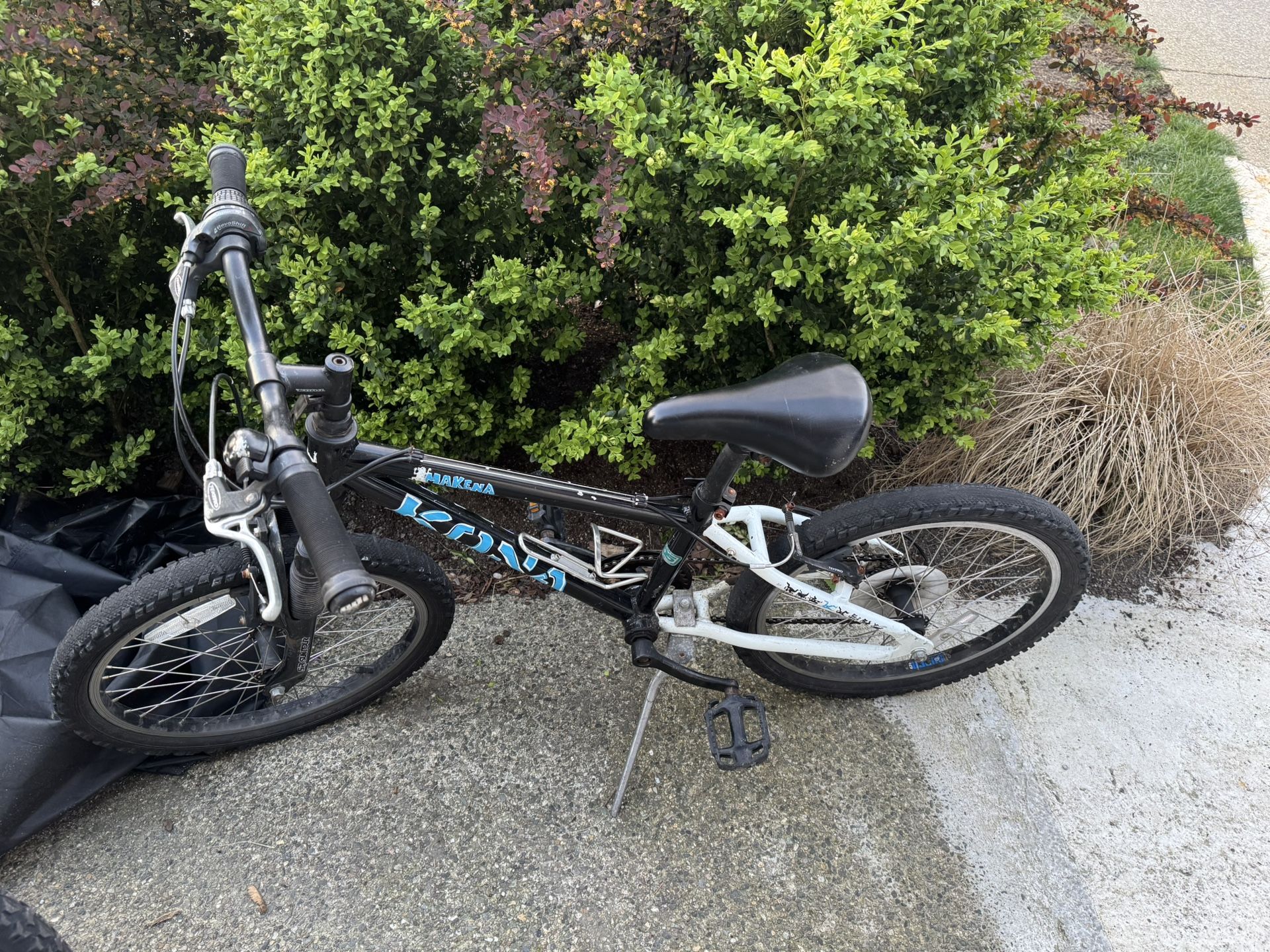Kids Bike Size 20