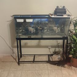 60 Gallon Tank With Double Tank Stand 