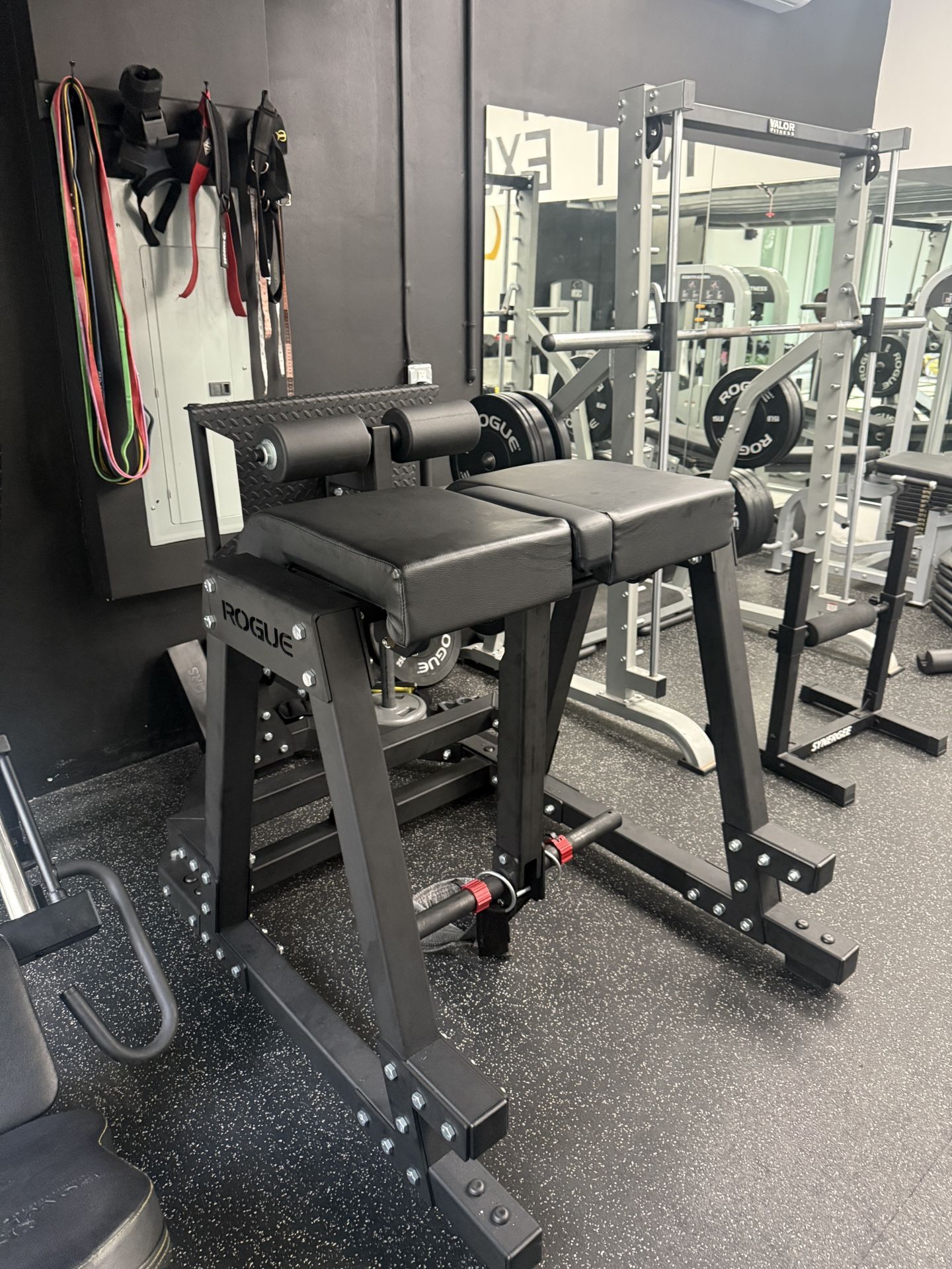 ROGUE DONKEY REVERSE HYPEREXTENSION