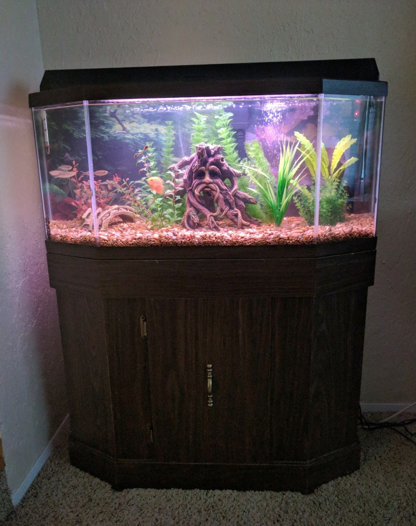 32 gallon Fish Tank
