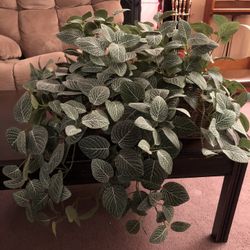 Artificial Plant In Basket 24” Wide  - $7