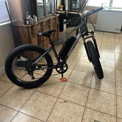 E Bike 