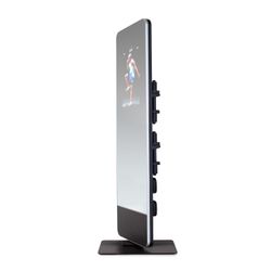 ProForm Fitness Mirror 
