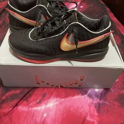 Lebron 20s Used 