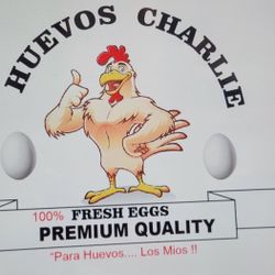 I Sell Eggs In Packs Of 6 And 12