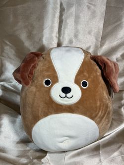 Bernie Squishmallow