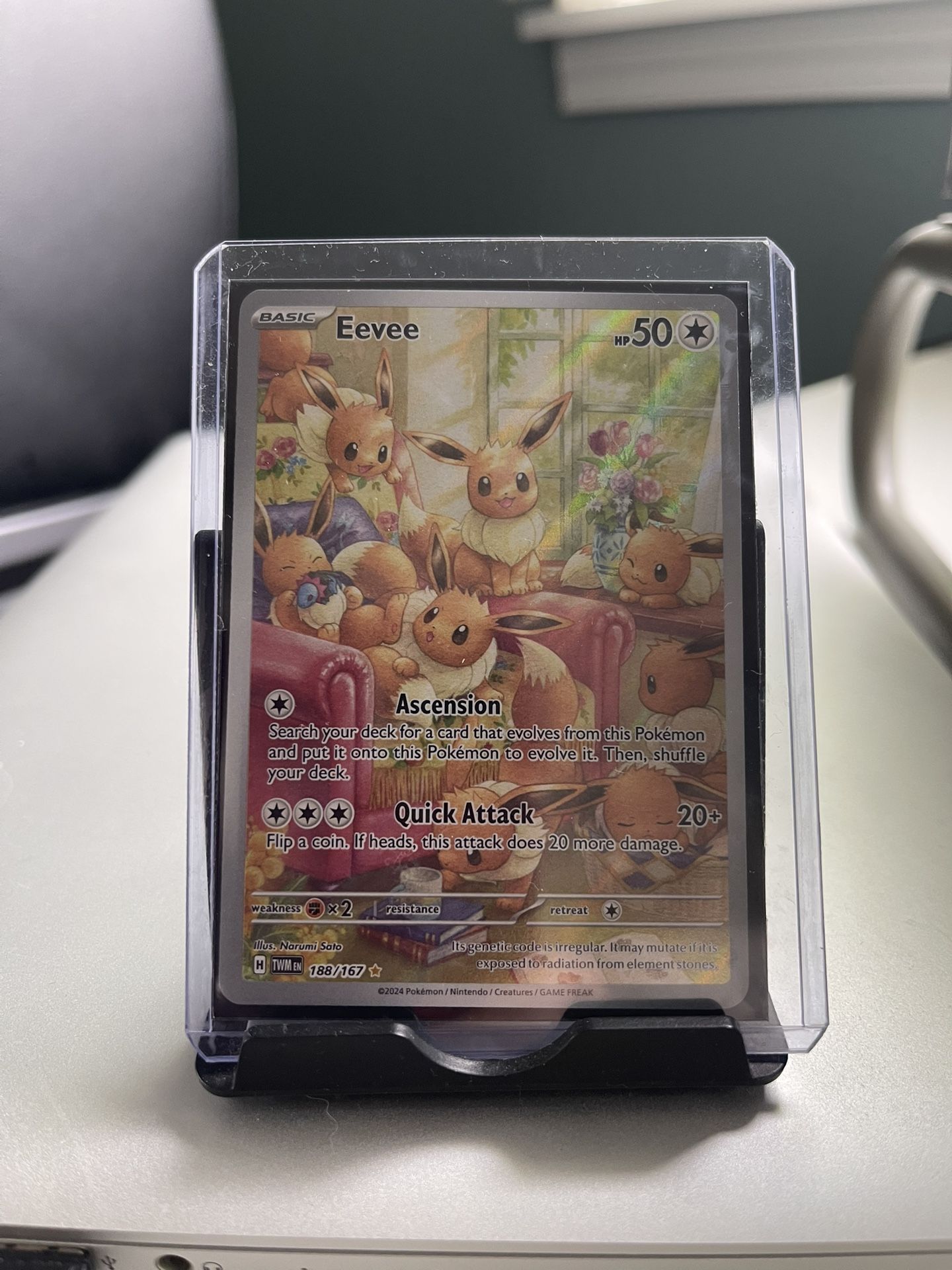Eevee Illustration Rare