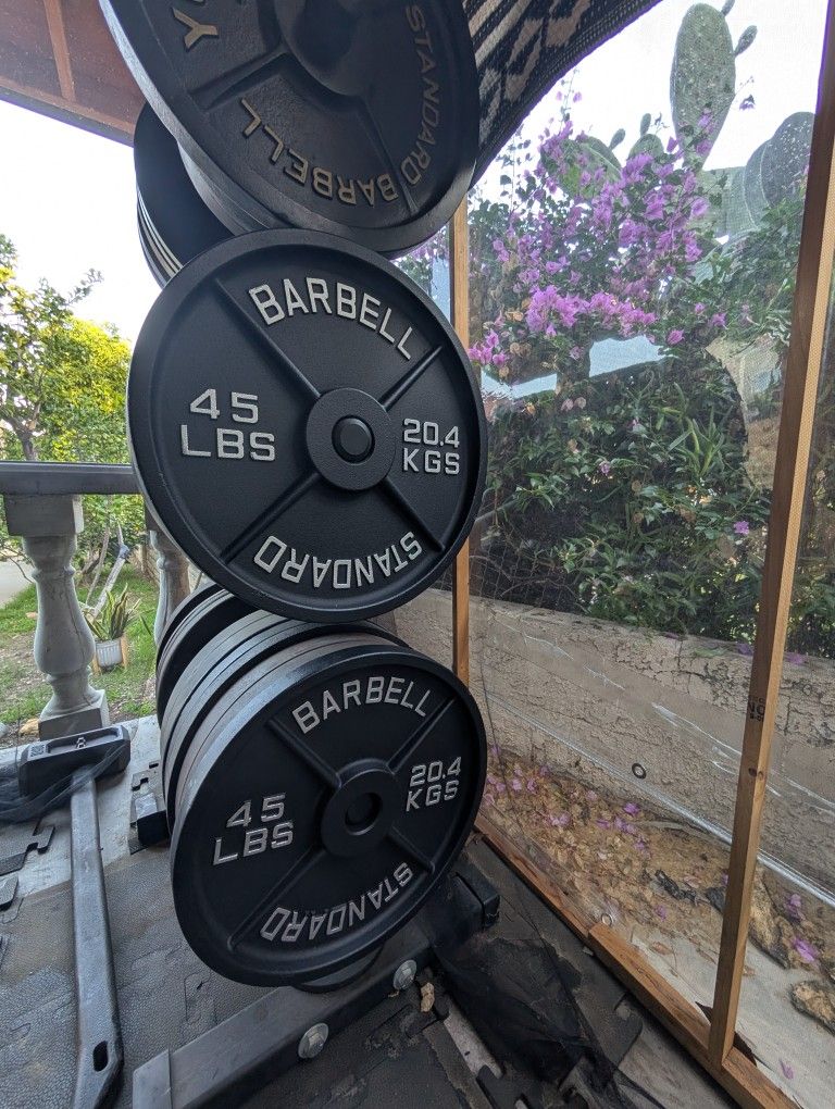 45 Lb Olympic Weight Plates