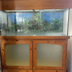 75 Gallon Fish Tank Set