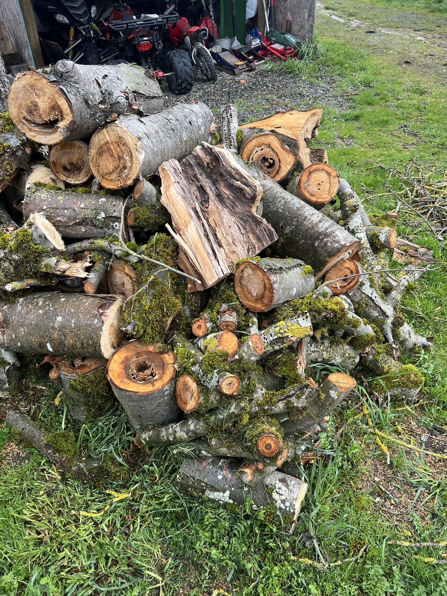 Firewood