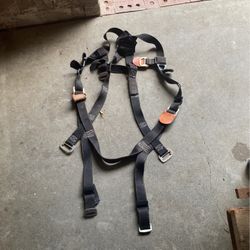 FallTech Harness 