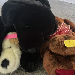 Stuffed Animals