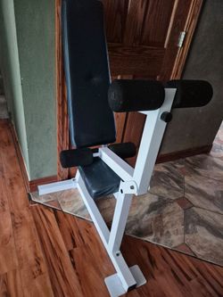 Gym Banch