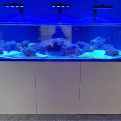 most long Massive Aquarium Tank - Wide & Stunning Display