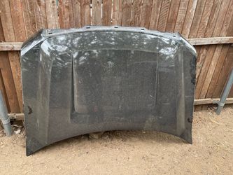 Ford F150 Hood 2009-2014