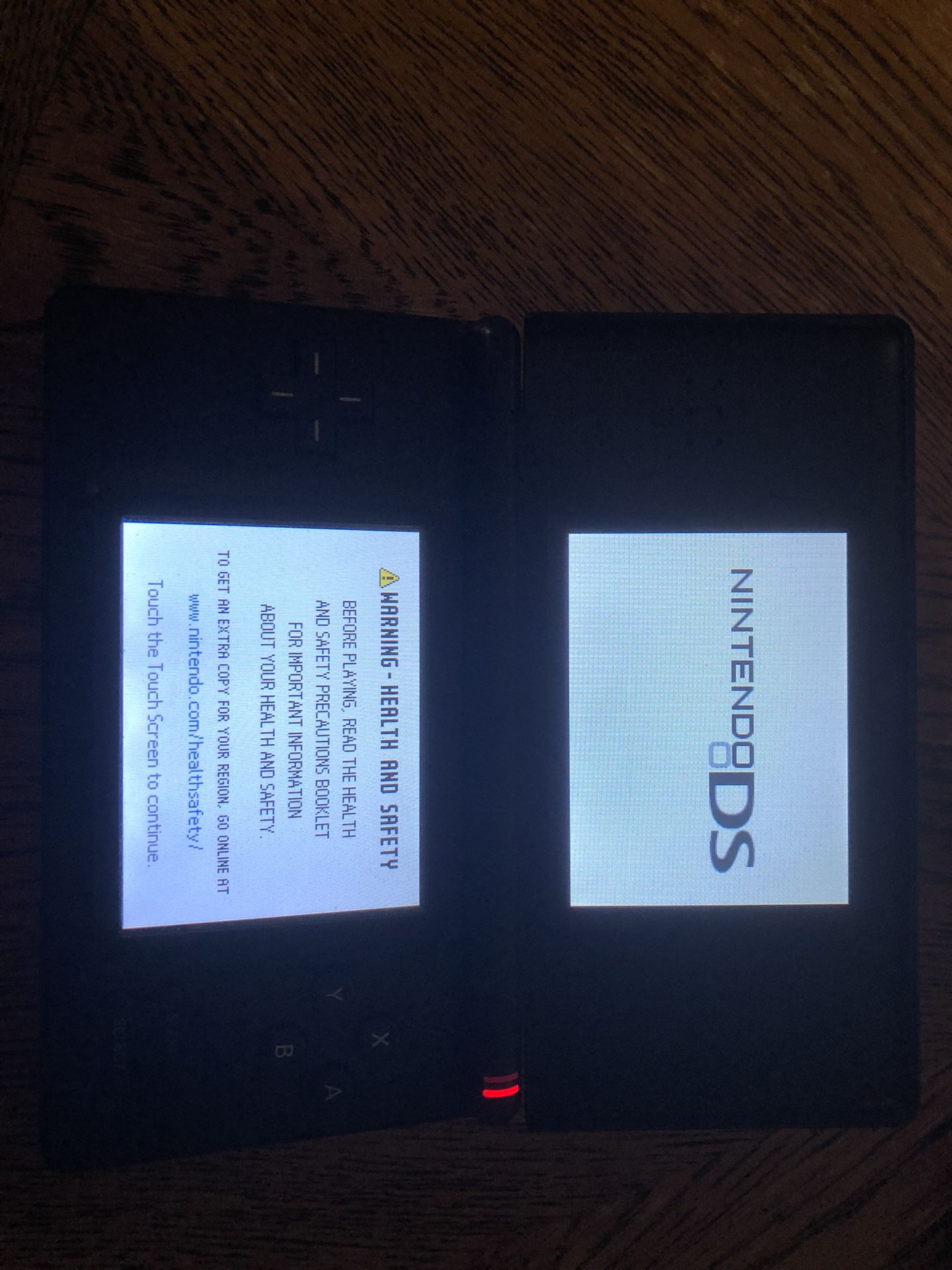 Nintendo DS Lite with Case