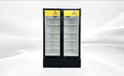 NSF 39 ins Commercial Merchandising door cooler LC-600A