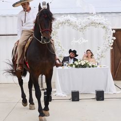 Wedding set up “ Amor Eterno”