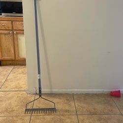 rake
