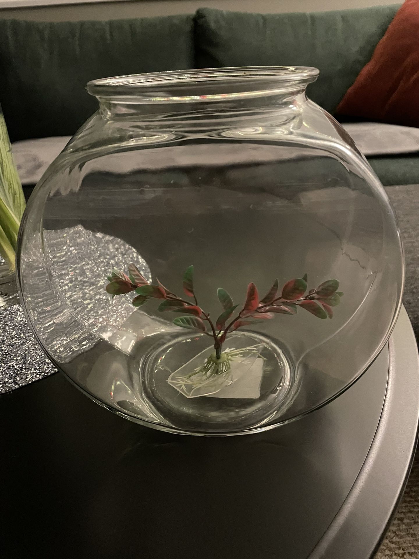 Fish tank