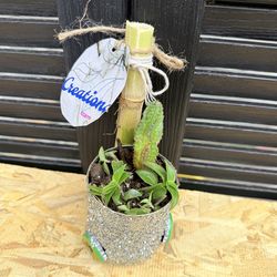 Handmade plant cart 🌱