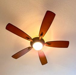 Hampton Bay Ceiling Fan with