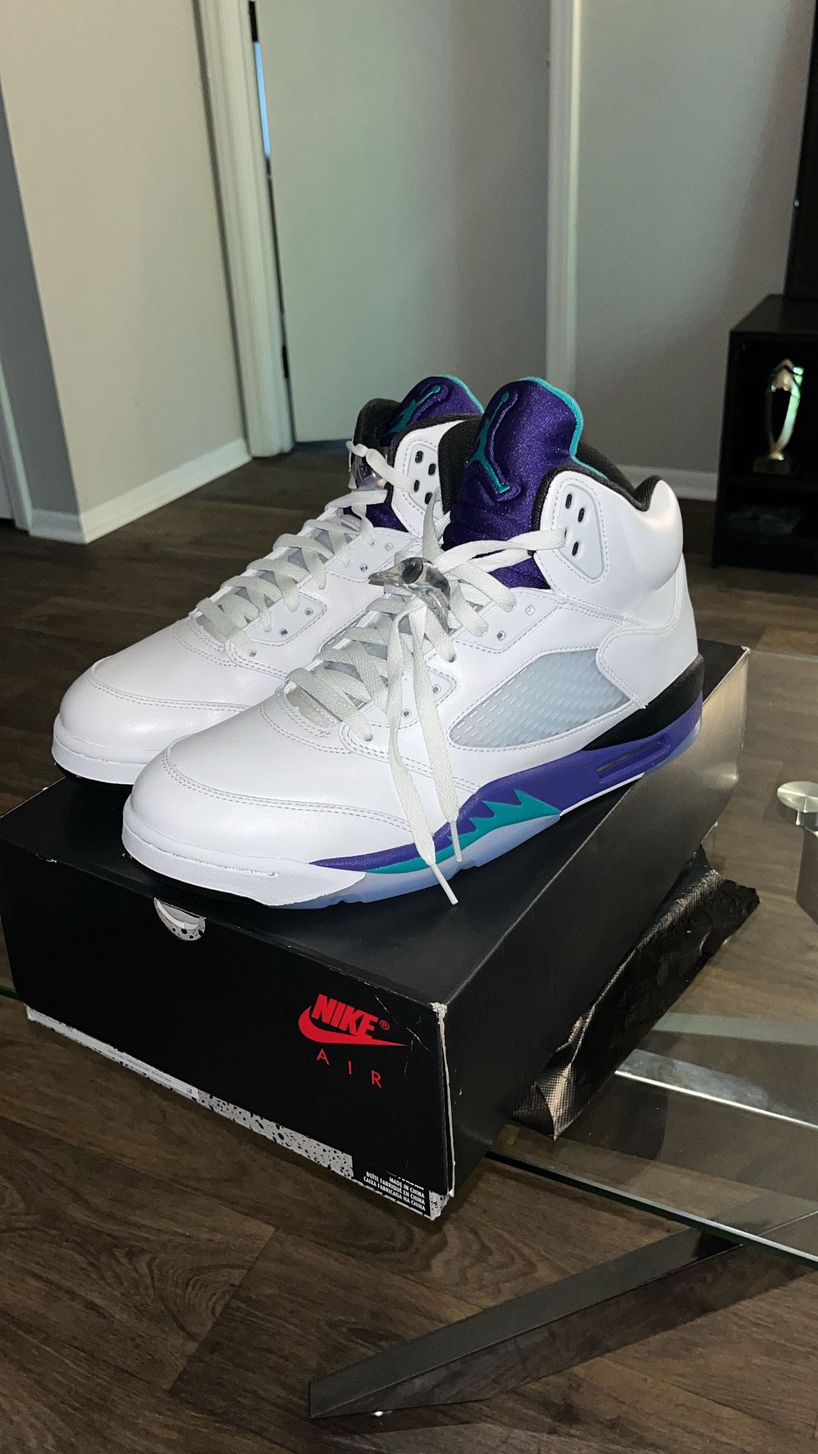 Air Jordan Grape 5's Sz 12
