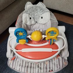 Fisher Price Portable Baby Chair