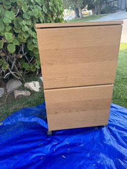 2 Drawer Rolling File