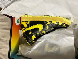 Nike Dunks Hi