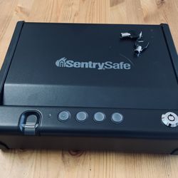 Sentry Biometric Quick Access Pistol Safe with LED Interior Lights