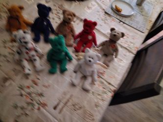Beanie Baby Rare Collection 