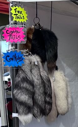 Fox & Coyote Tails