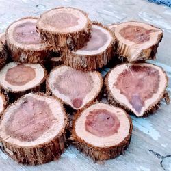 Cedar Cookies 3"-5" Diameter 