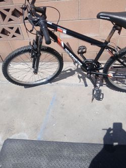 Roadmaster bike