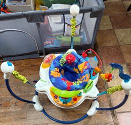 Fisher Price Baby Bouncer