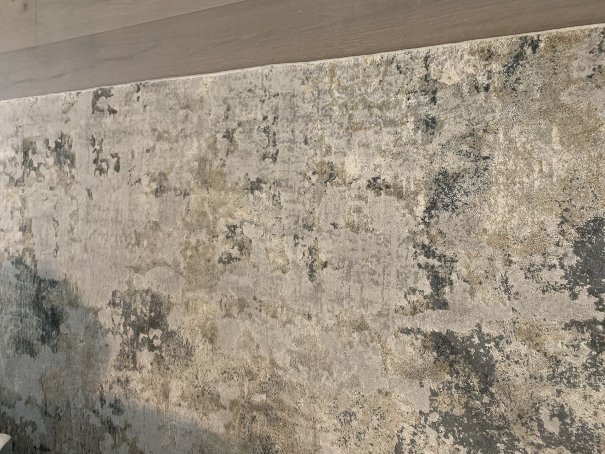 Modern Area Rug