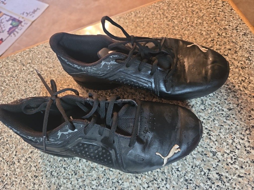 Mens Puma Shoes