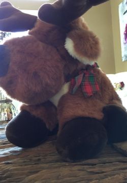 Stuff animal $19