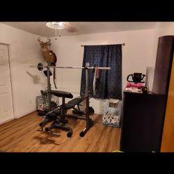 Gym Equipment 