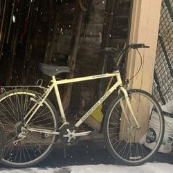 Diamondback Mountain Bike