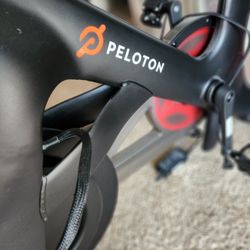 Peloton